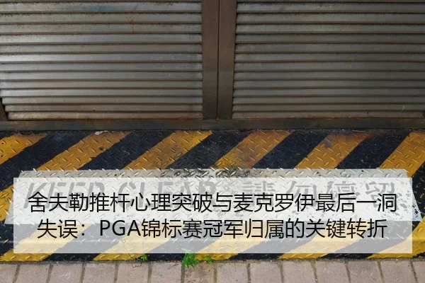she-fu-lei-tui-gan-xin-li-tu-po-yu-mai-ke-luo-yi-zui-hou-yi-dong-shi-wu-jin-biao-sai-guan-jun-gui-shu-de-guan-jian-2-578.jpg