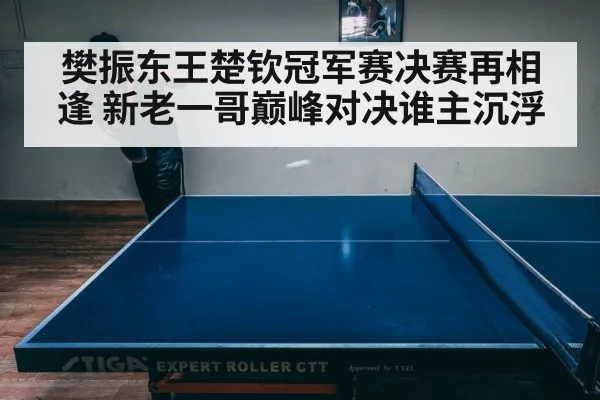 樊振东王楚钦冠军赛决赛再相逢 新老一哥巅峰对决谁主沉浮