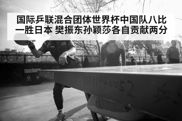 Fan Zhendong table tennis